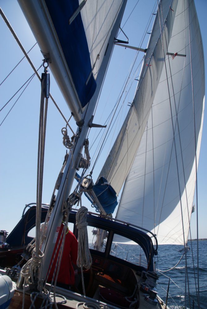 6_sailing_670x1000